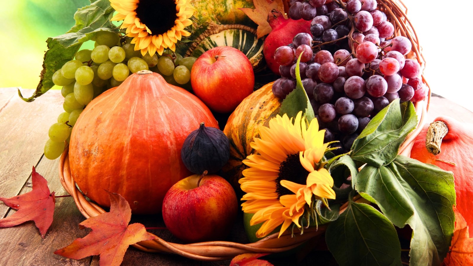 A woven cornucopia is filled with a harvest display of pumpkins, grapes, apples, sunflowers, and dark figs.