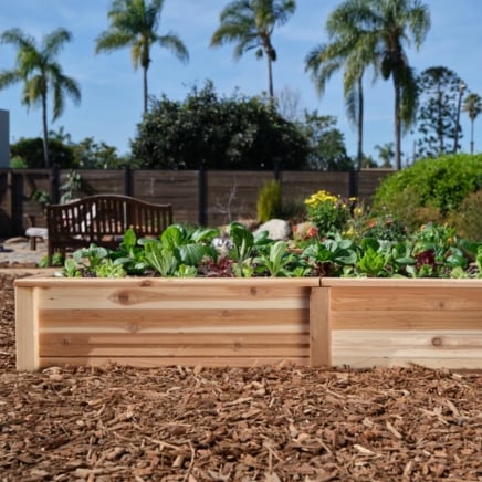 Large Cedar Raised Bed