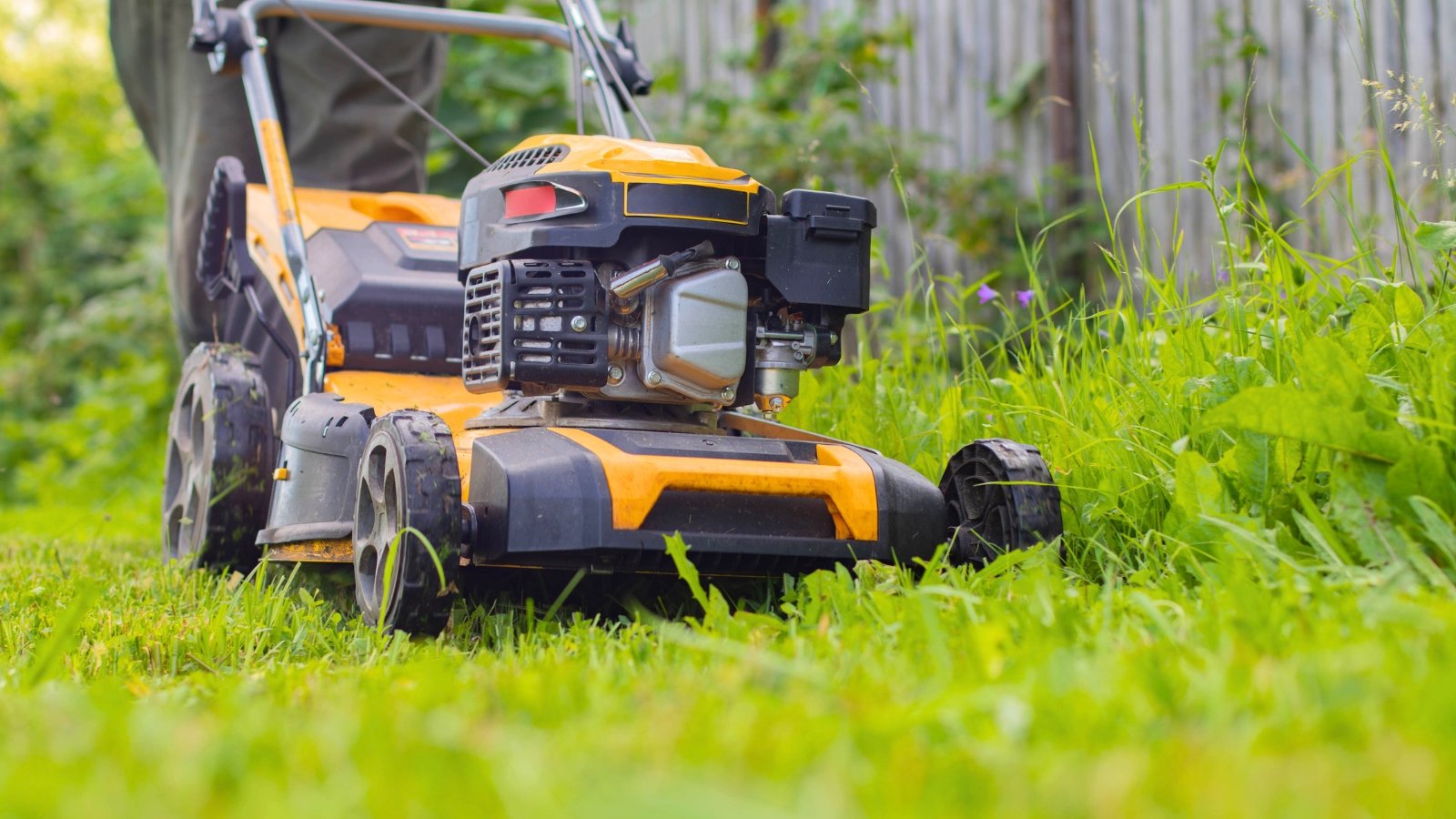 A man pushes a yellow lawn mower across a green lawn, cutting the grass on a sunny day.
