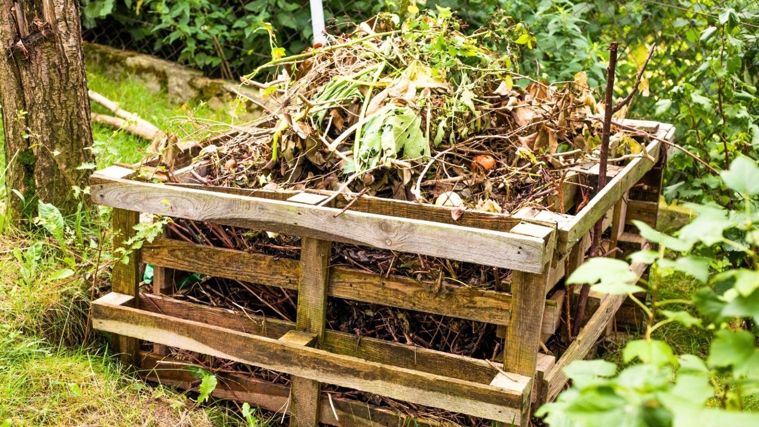 How to Start Composting: A Beginner's Guide for Spring