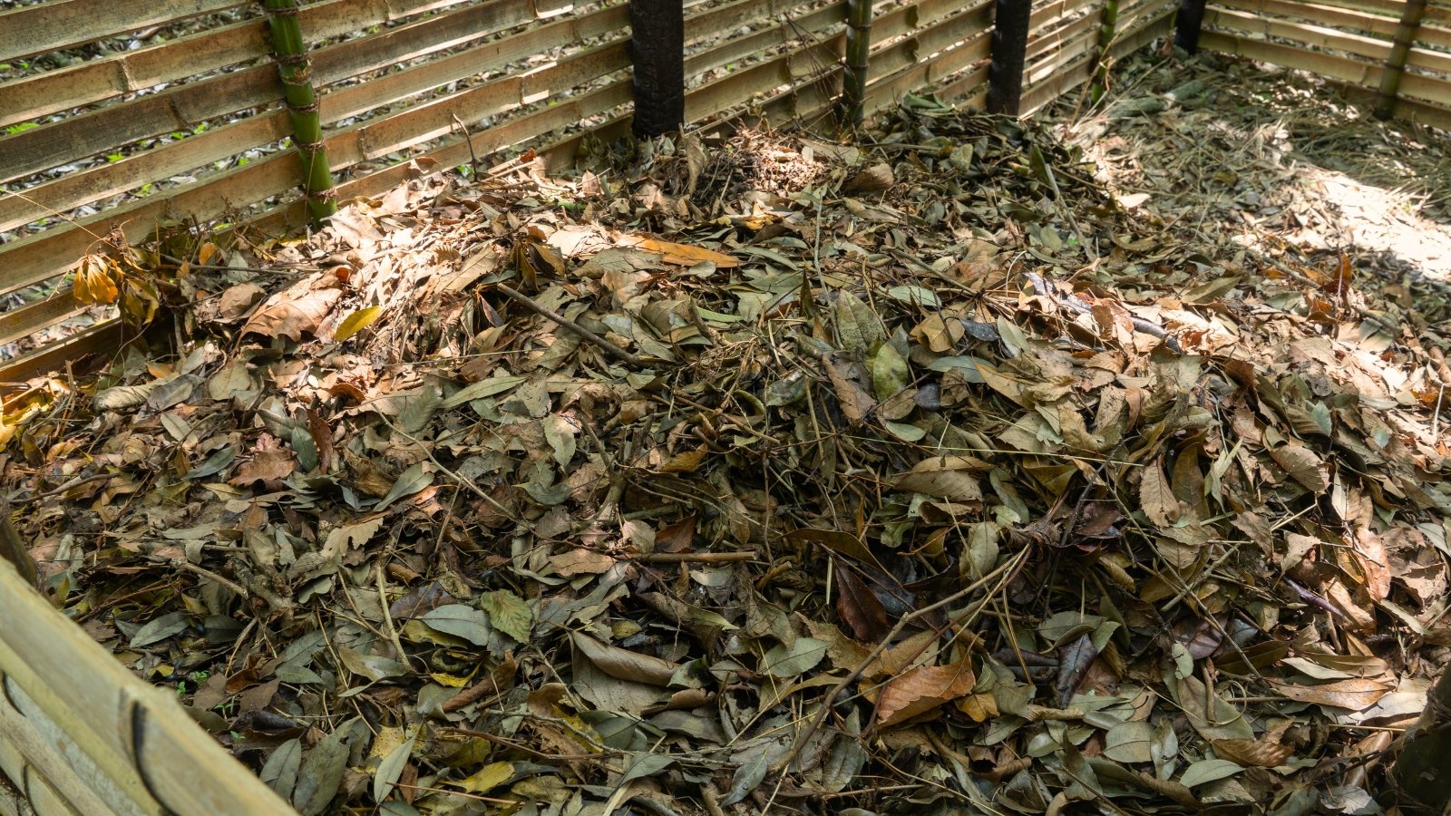 A compost bin contains a pile of brown, dry leaves, piled up for decomposing into nutrient-rich leaf mold.