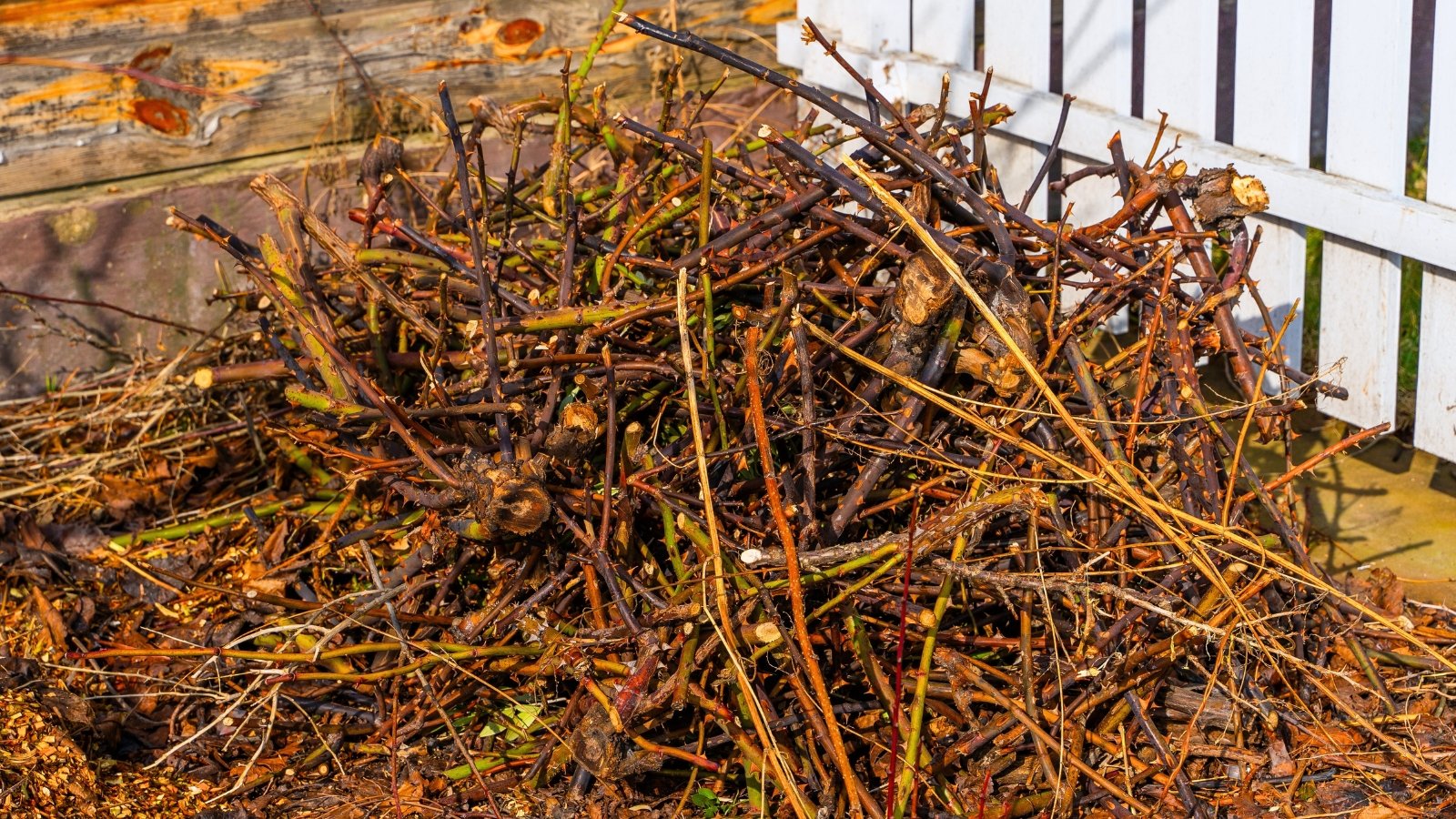 A pile of old rose branches with thorns and woody stems stacked on the ground after pruning.
