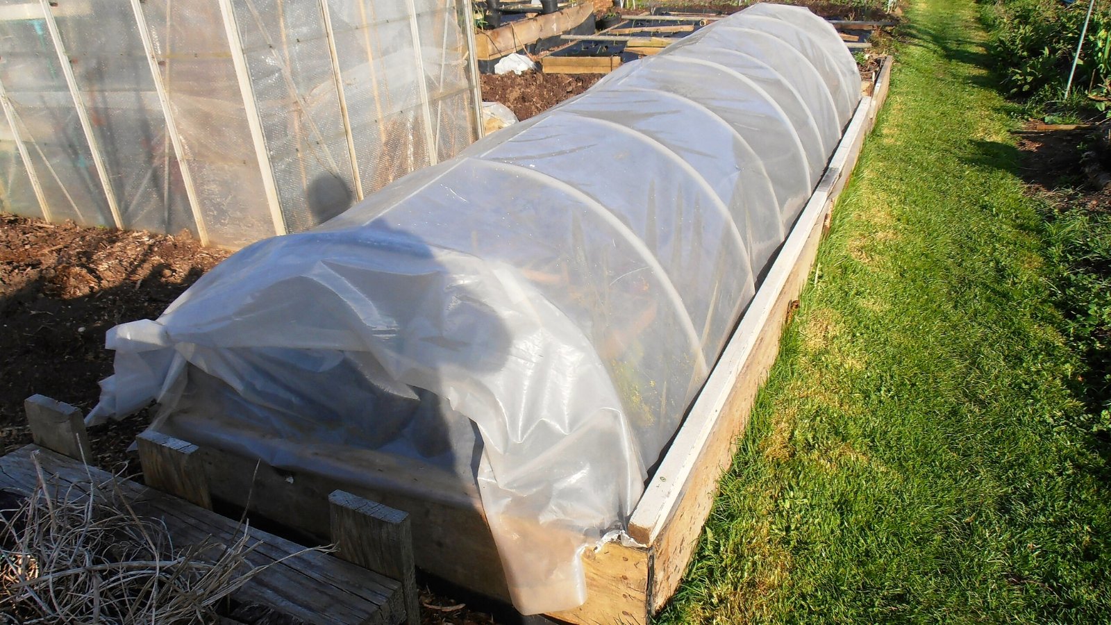 A clear plastic tunnel arches over a wooden raised garden bed, protecting the soil and plants during winter.
