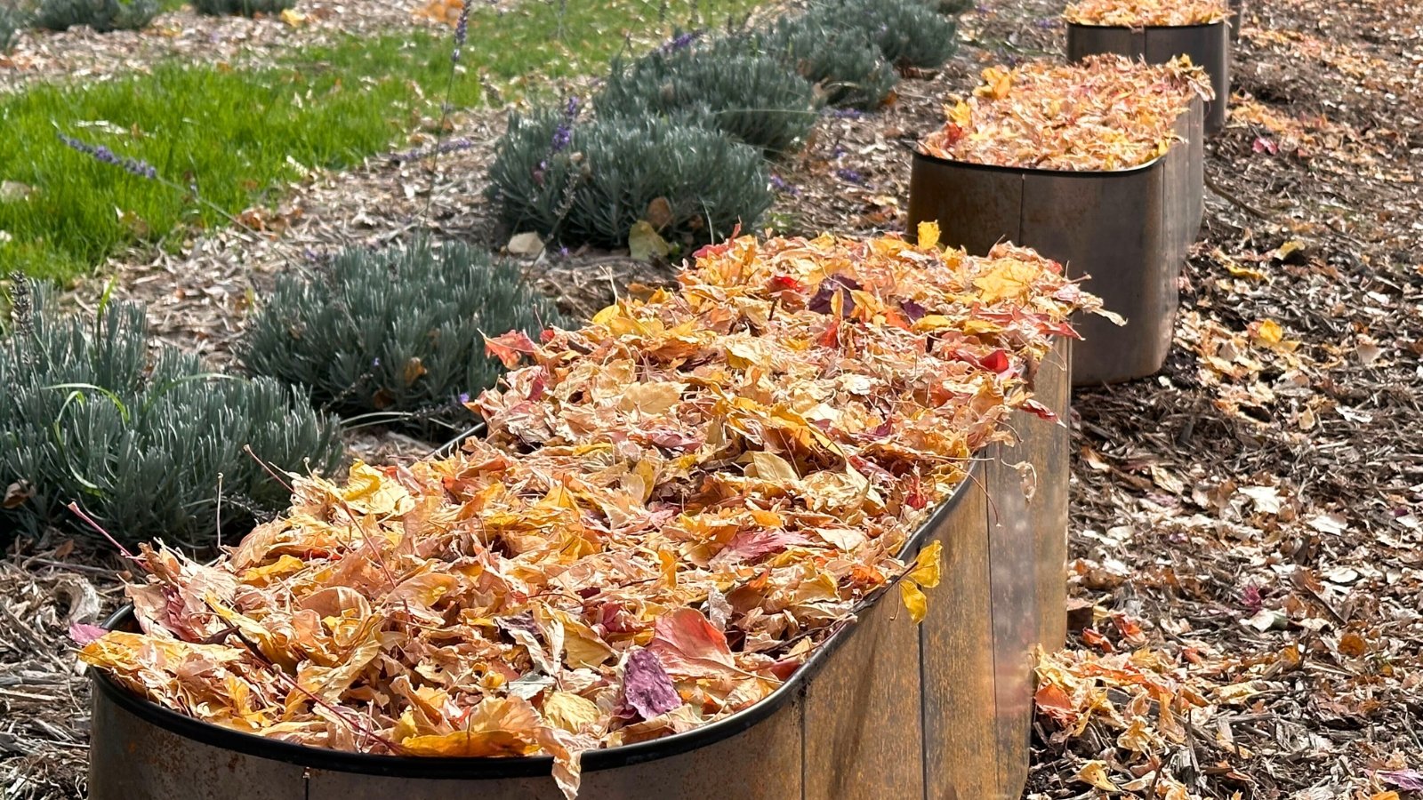 Preparing Garden Beds for Winter: To Cover or Not to Cover?