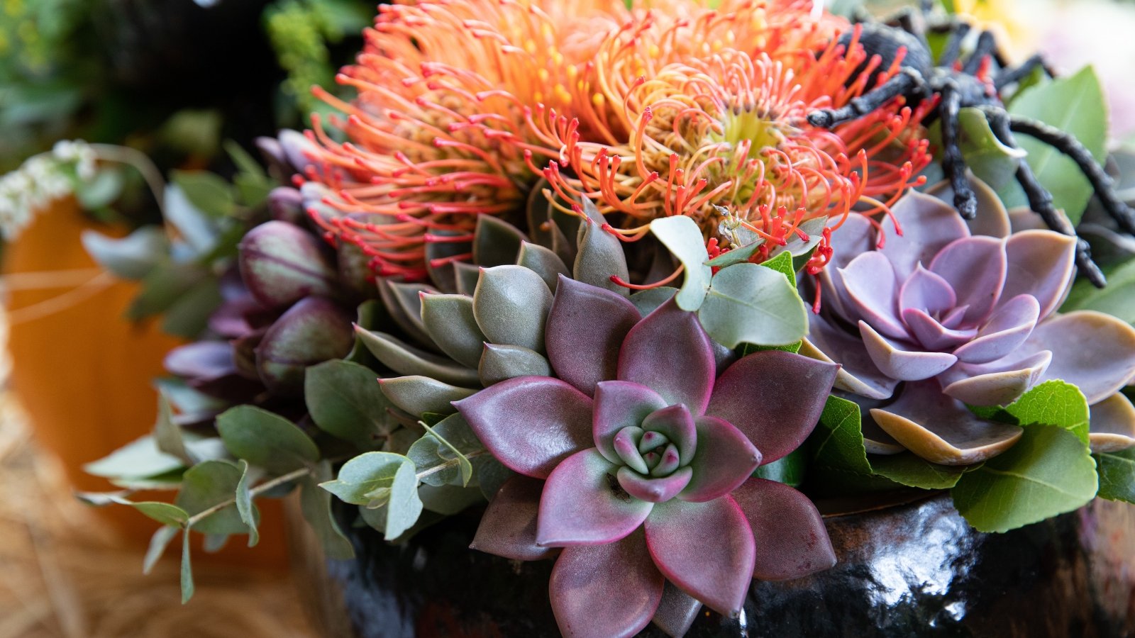 An autumn arrangement features rosettes of gray-purple succulents, vibrant proteas blooms, and silvery eucalyptus leaves for a rich seasonal display.