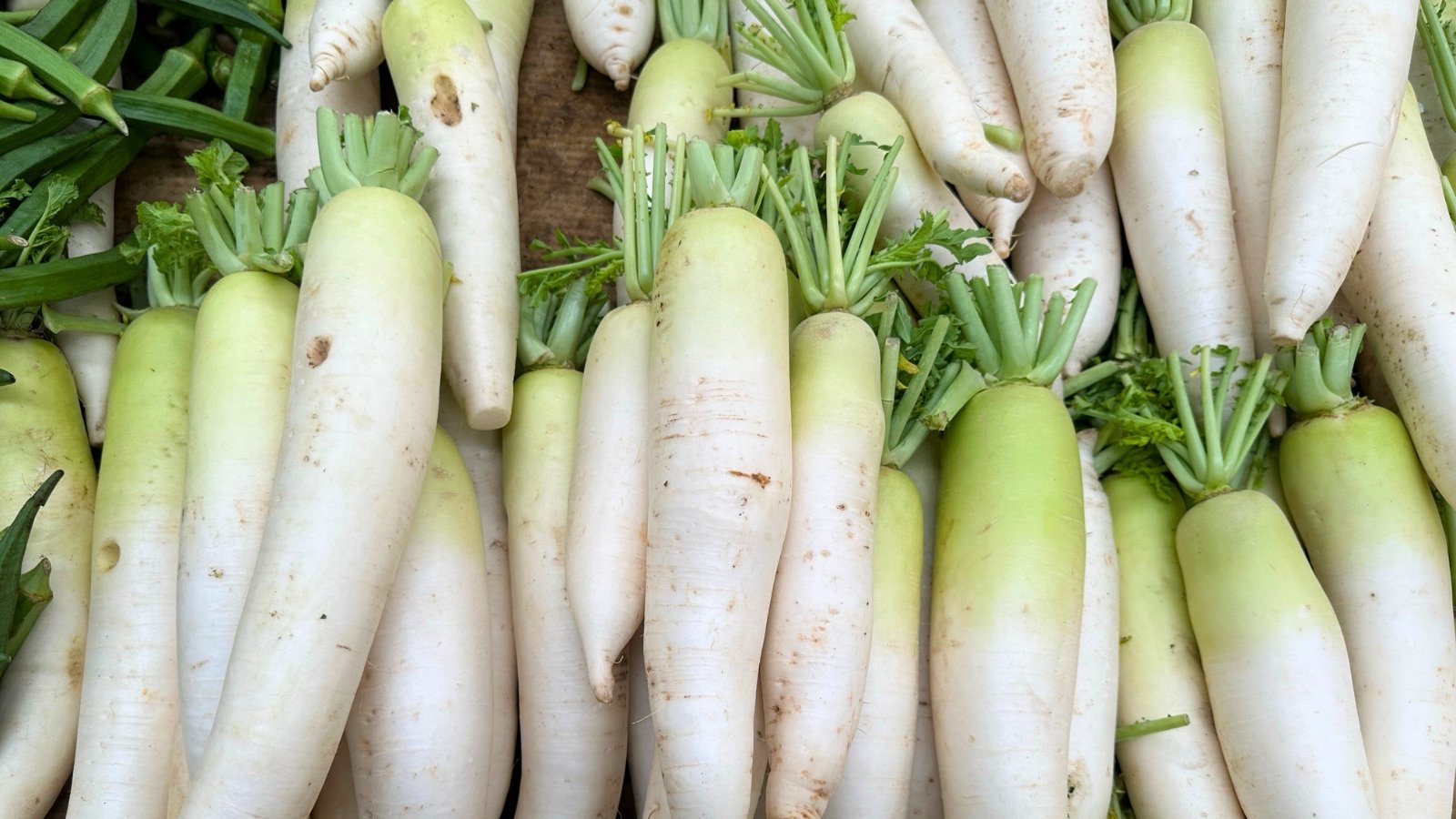A dense collection of long, straight, white root vegetables, each with a faintly green-tinged shoulder and topped with clusters of thick, green leafy stems.