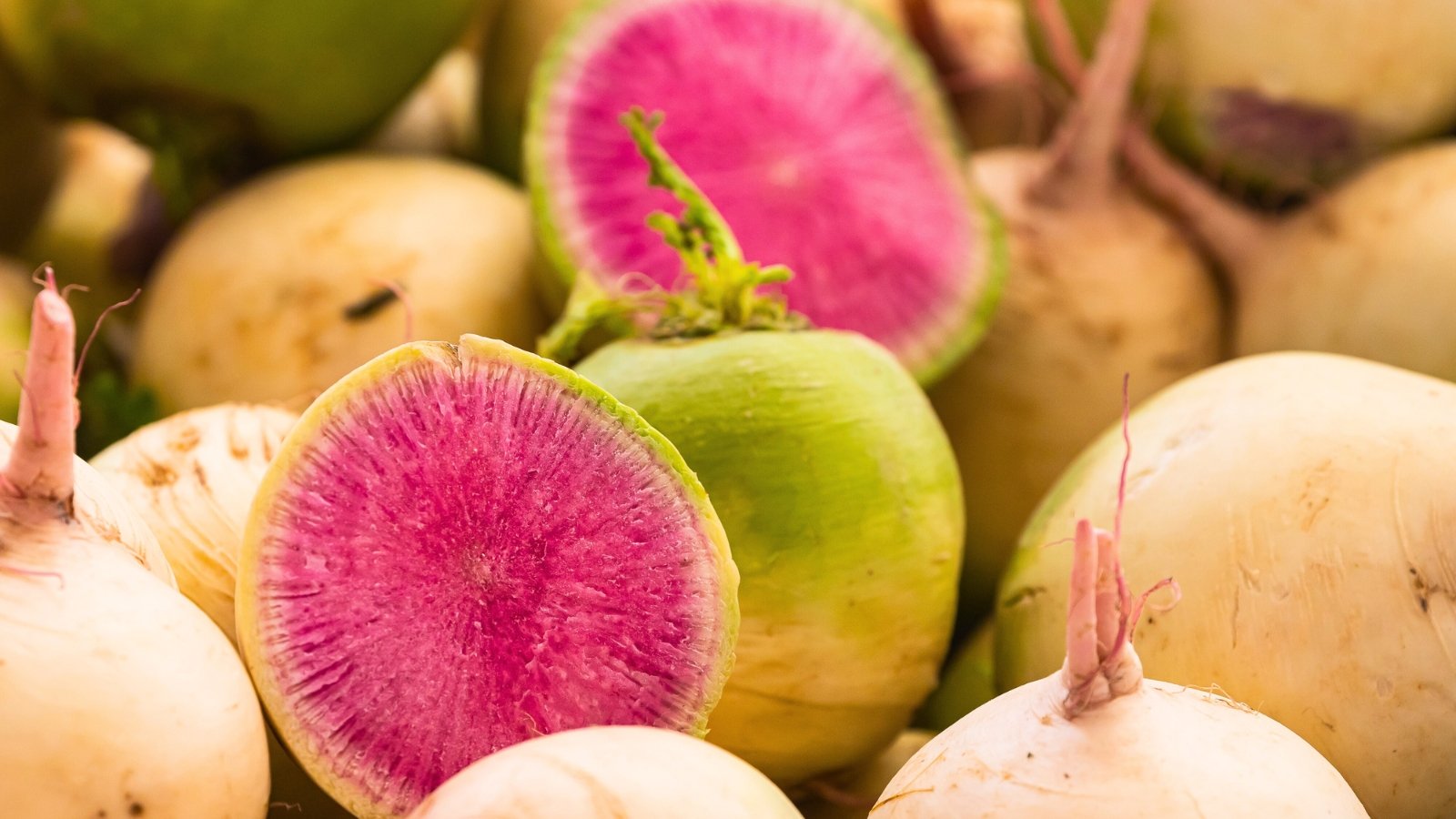 Several light green and white round root vegetables, with two sliced open to reveal a vibrant, shocking pink to magenta interior flesh.