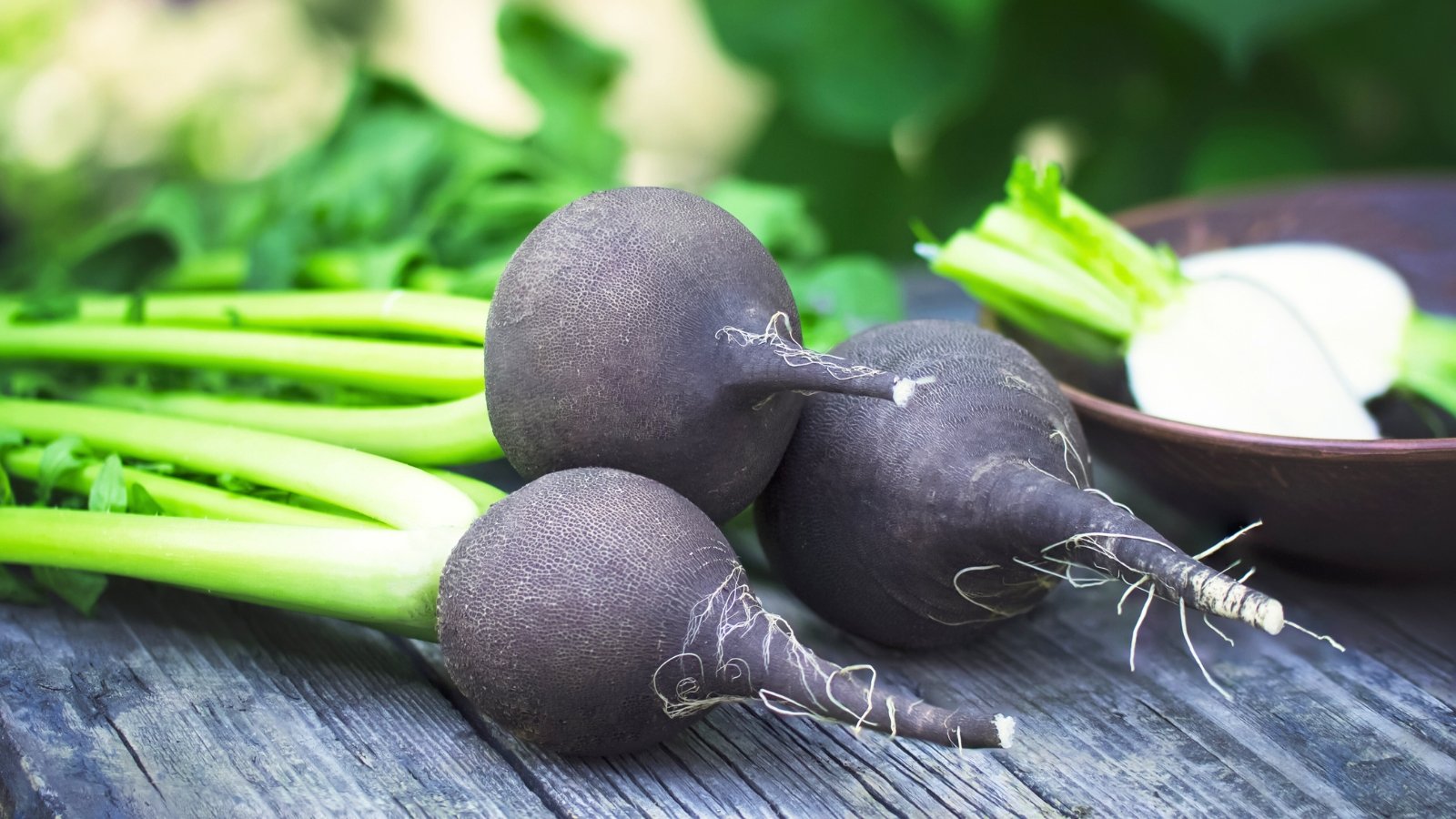 Three nearly spherical root vegetables with rough, deeply black skin and a prominent white taproot are resting on a wooden table next to bright green stems.