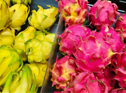 Showing dragon fruit varieties, with many fruits placed in piles and separated by color having one side with yellow fruits and the other with pink fruits