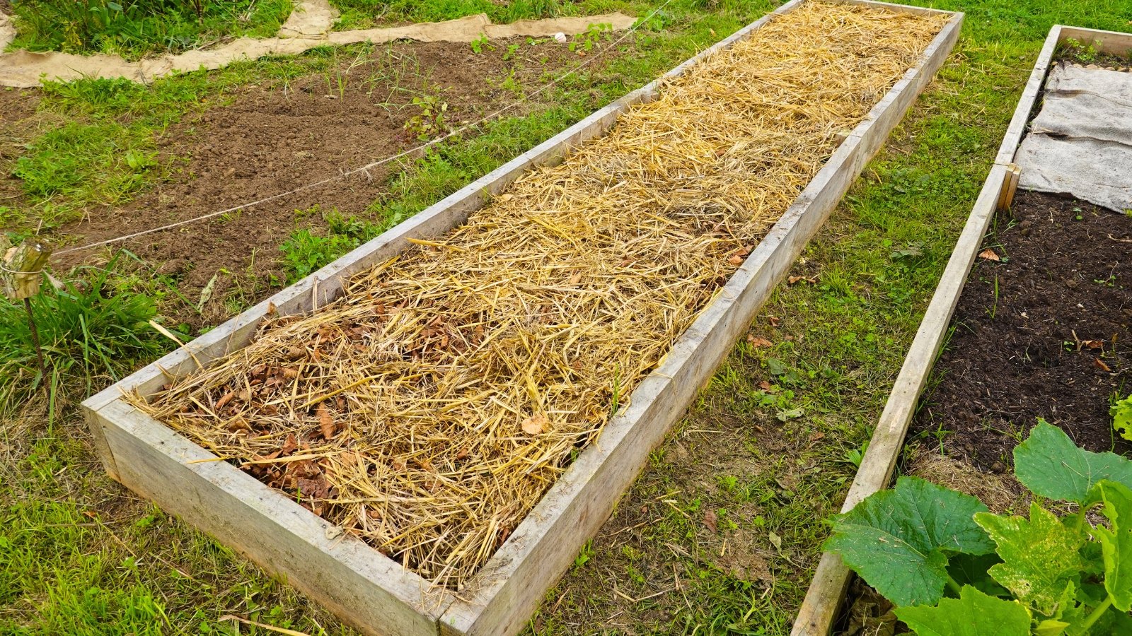 A long wooden raised bed covered with straw mulch to protect the soil over the winter.
