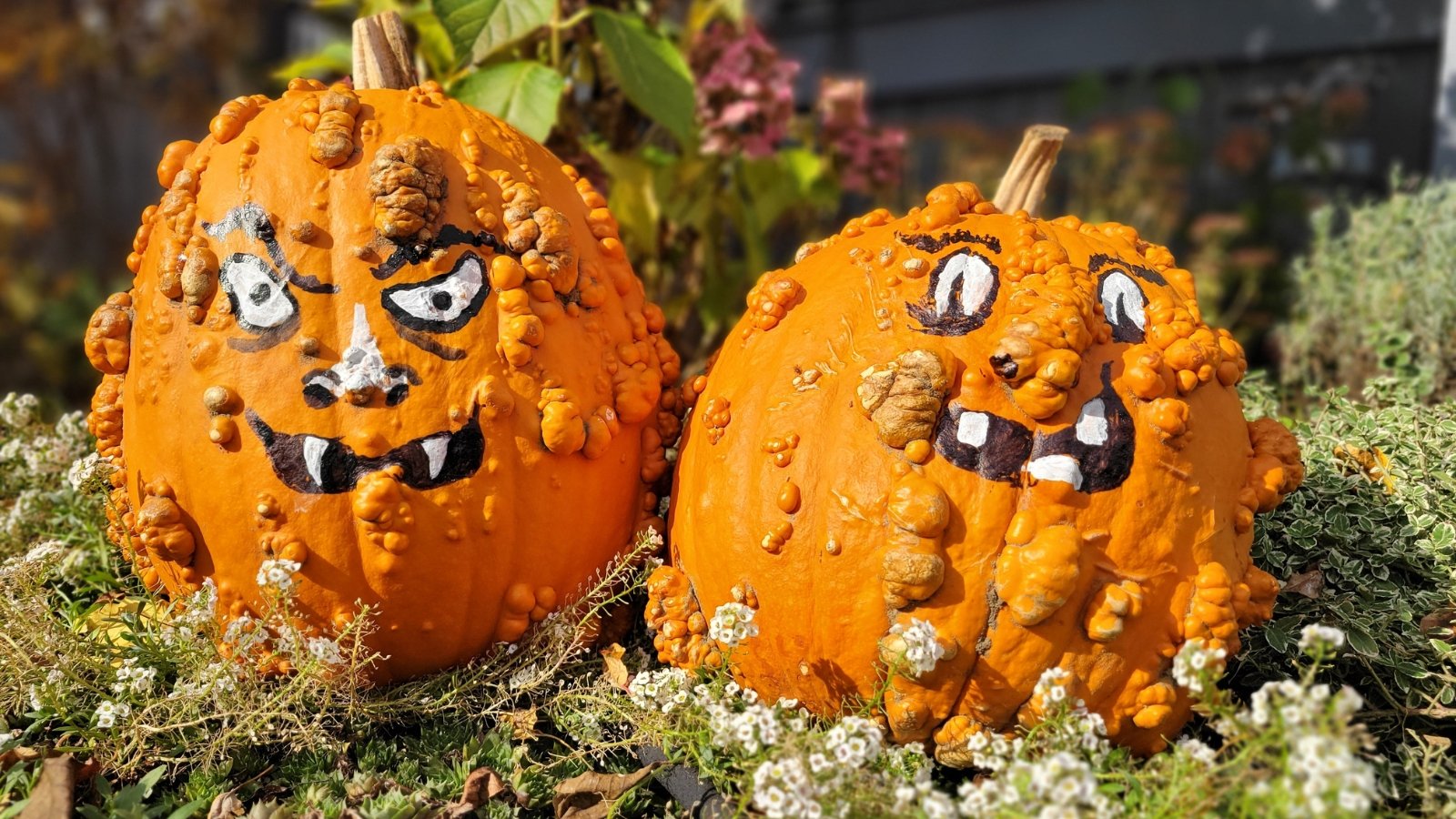 Two warty Halloween pumpkins sit in the garden, each with a painted spooky face and textured, bumpy orange skin.