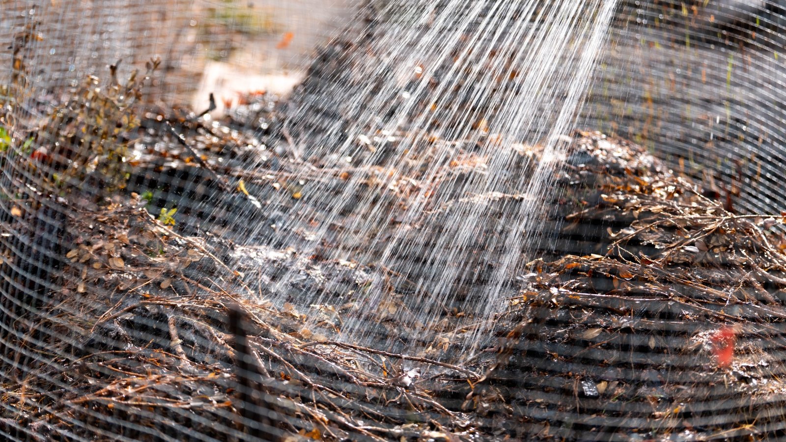 A stream of water from a garden hose is soaking into the dark, layered compost pile to keep it moist.