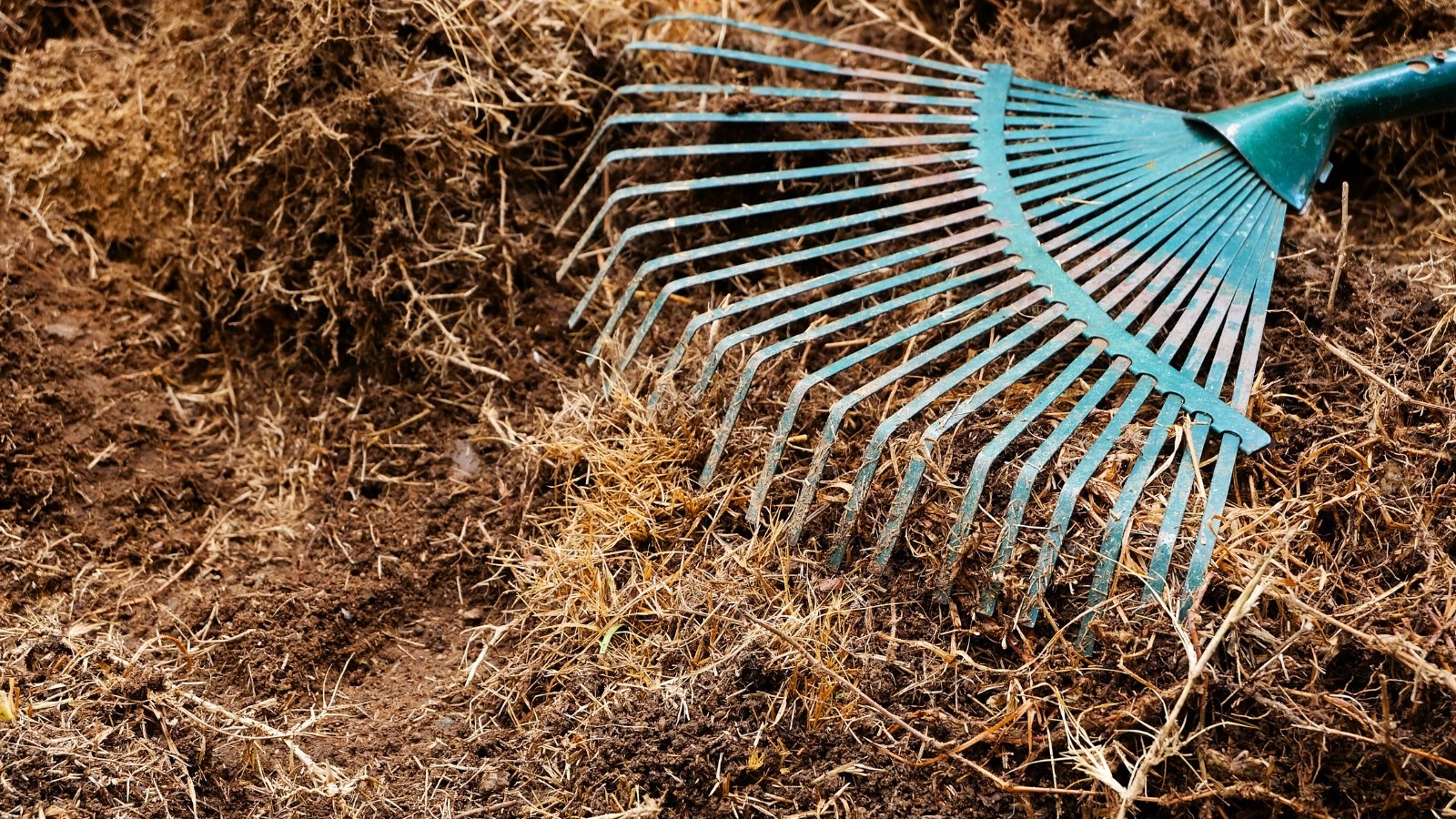 Building Garden Soil Through Fall and Winter: No-Till Methods