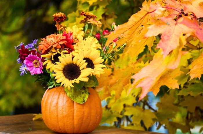 A large, hollowed-out pumpkin used as a vase for mixed zinnias and sunflowers, creating a warm example of foraged fall decor.