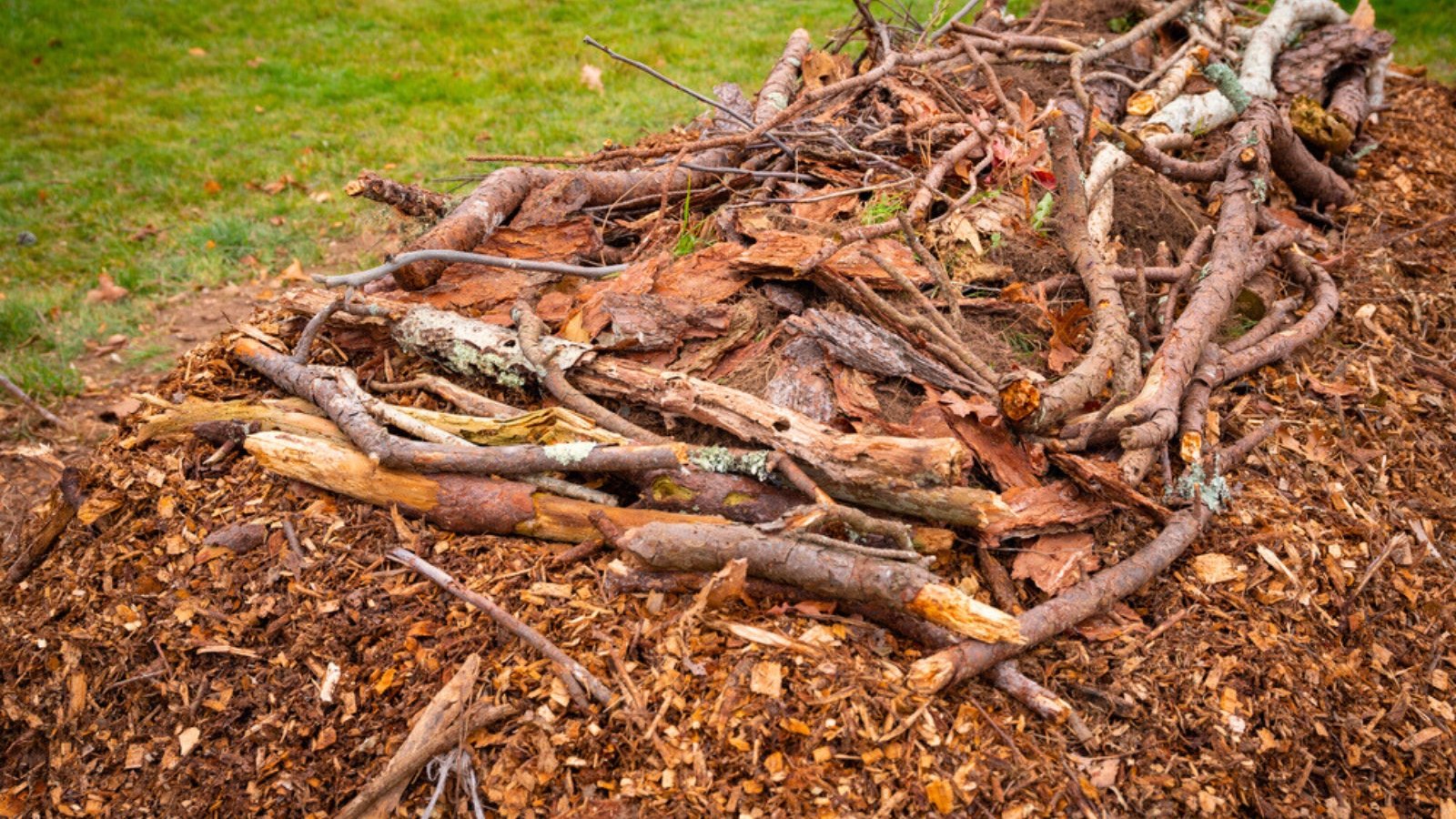 A hugelkultur garden bed is built with a base of stacked logs and branches, topped with a rich layer of compost ready for planting.
