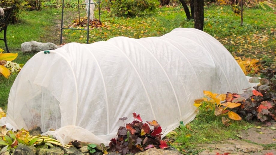 An autumn garden shows a vegetable bed covered with white row covers stretched over hoops, providing late season vegetable protection.