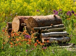 A log pile surrounded by blooming garden plants creates a natural wildlife habitat with stacked, weathered logs providing shelter and texture.