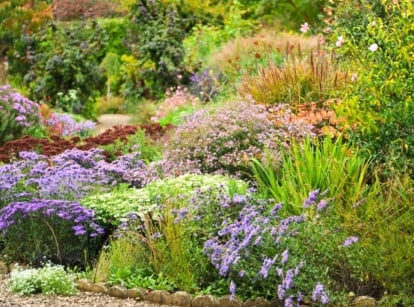 A large blooming garden filled with a mix of colorful perennials, annuals, shrubs, and trees is arranged following the native plant 70-30 rule, creating a balanced and diverse landscape.