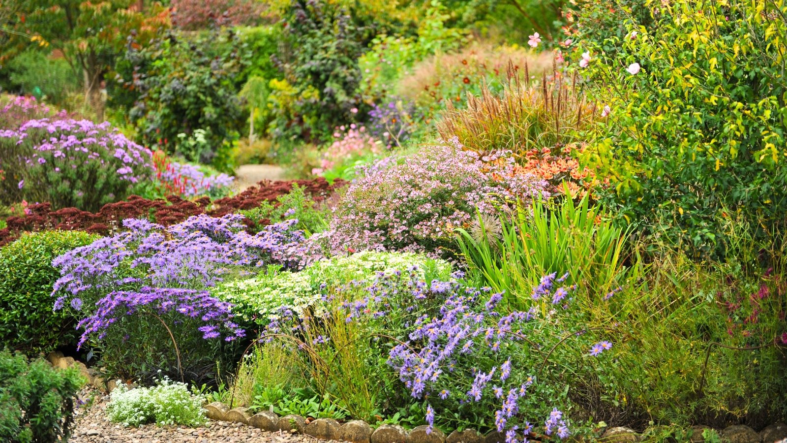 A large blooming garden filled with a mix of colorful perennials, annuals, shrubs, and trees is arranged following the native plant 70-30 rule, creating a balanced and diverse landscape.