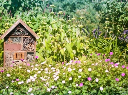 A pollinator superhighway in a sunny garden features diverse blooming plants, shrubs, and trees with a wooden insect hotel nestled among the greenery.
