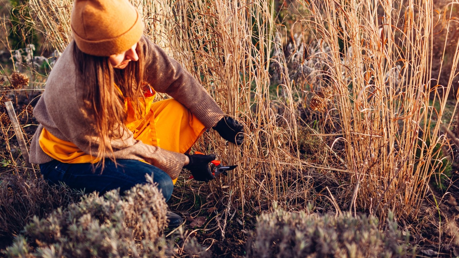 How to Prepare Perennial Beds for Winter Dormancy