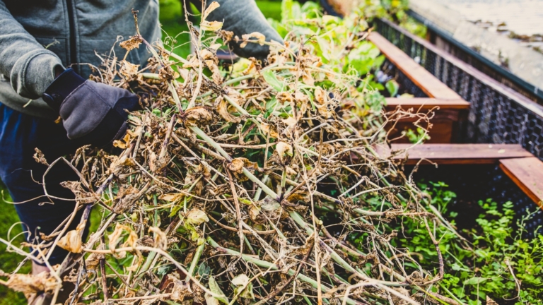 How to Winterize Your Garden in One Weekend (Even If You're a Beginner)