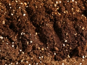 Close-up of rich, dark soil with visible organic matter and mineral particles showing soil remineralization in fall.
