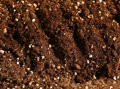 Close-up of rich, dark soil with visible organic matter and mineral particles showing soil remineralization in fall.
