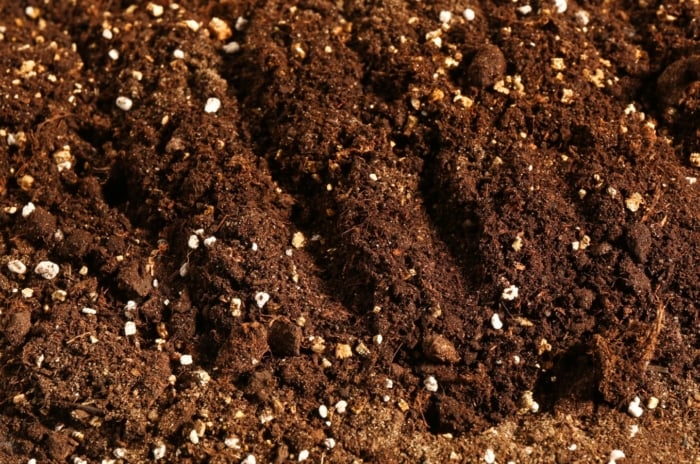 Close-up of rich, dark soil with visible organic matter and mineral particles showing soil remineralization in fall.