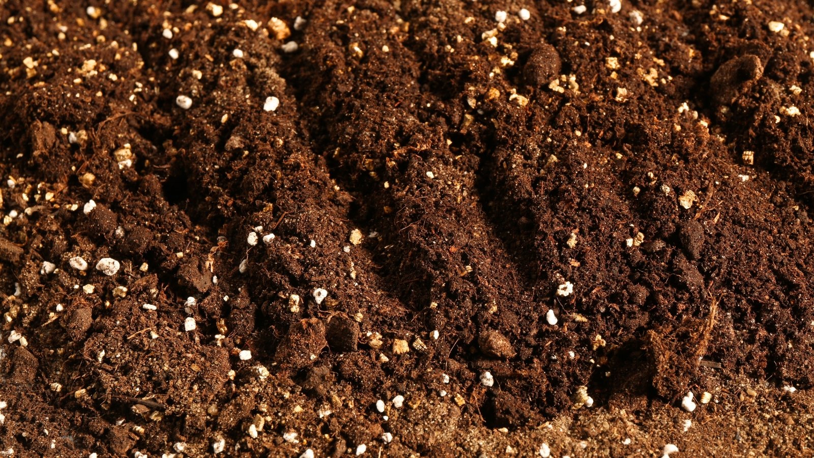Soil Remineralization: Fall Amendments for Next Year’s Success