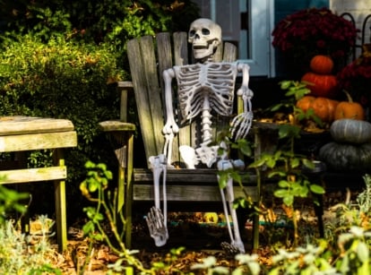 A spooky skeleton sits on a wooden chair in the garden surrounded by bushes and plants, with pumpkins of various sizes and colors lined up at the house entrance beside blooming chrysanthemums, creating a festive Halloween scene.