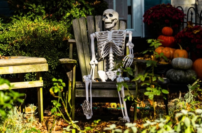 A spooky skeleton sits on a wooden chair in the garden surrounded by bushes and plants, with pumpkins of various sizes and colors lined up at the house entrance beside blooming chrysanthemums, creating a festive Halloween scene.