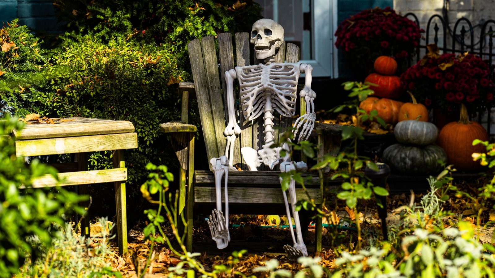 A spooky skeleton sits on a wooden chair in the garden surrounded by bushes and plants, with pumpkins of various sizes and colors lined up at the house entrance beside blooming chrysanthemums, creating a festive Halloween scene.