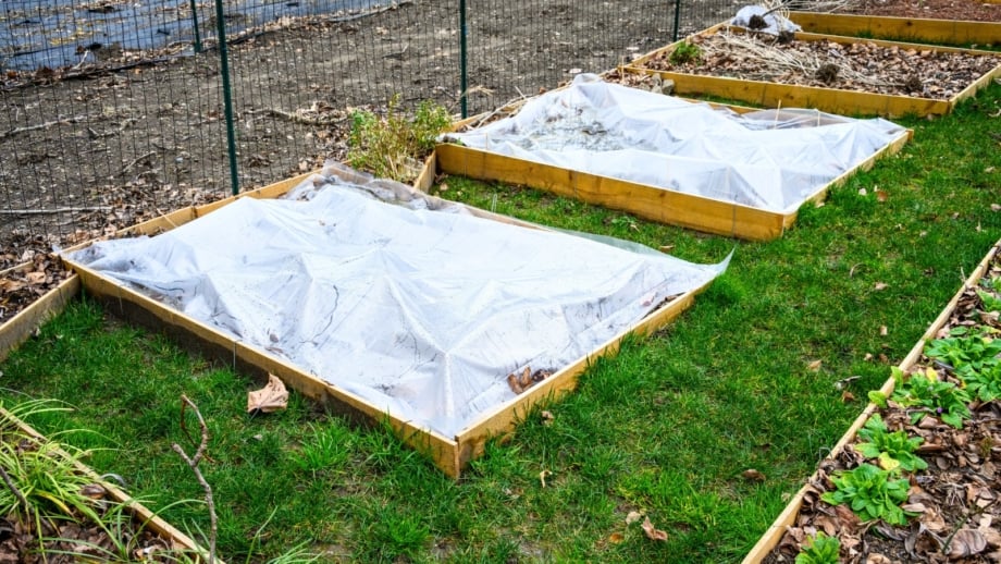The winterized garden shows rows of wooden raised beds, some covered with white row covers and others layered with leaf mulch.