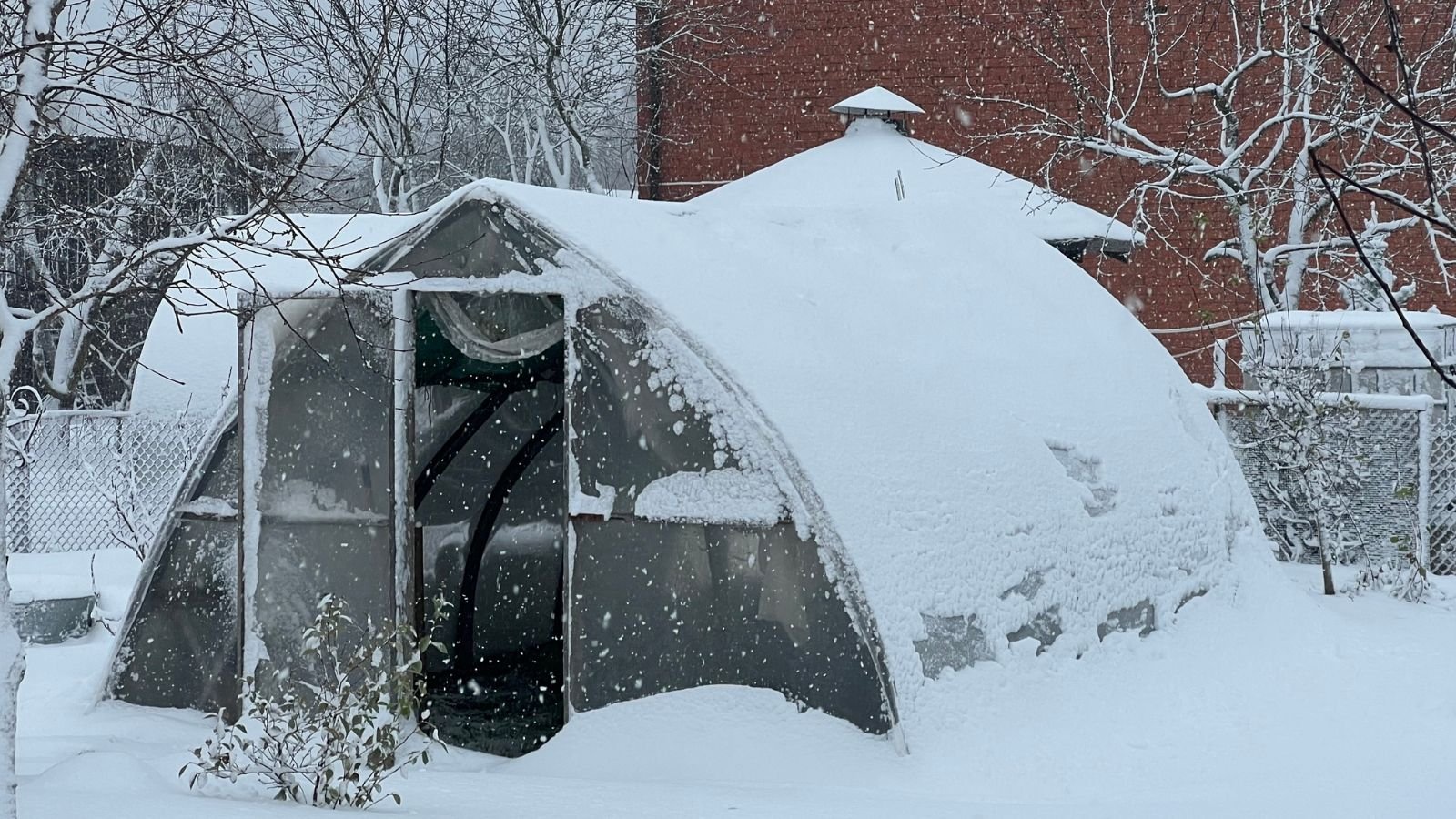 A close-up shot of a small grey colored greenhouse all covered in snow, situated in a blizzard-ridden area outdoors