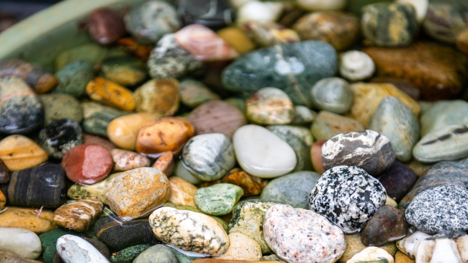 Close-up of multi-colored smooth pebbles in a tray filled with water.