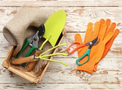 A bunch of tools placed on the wooden surface meant to winterize garden tools placed somewhere with abundant sunlight