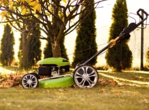 Lawn mower resting on a grass lawn scattered with autumn leaves under a yellow-leaved tree, illustrating lawn care in November.