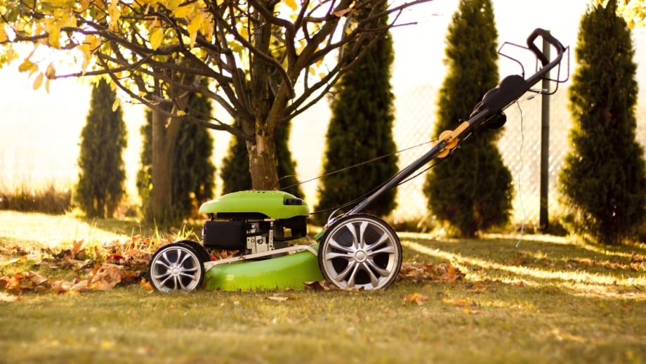 Lawn mower resting on a grass lawn scattered with autumn leaves under a yellow-leaved tree, illustrating lawn care in November.