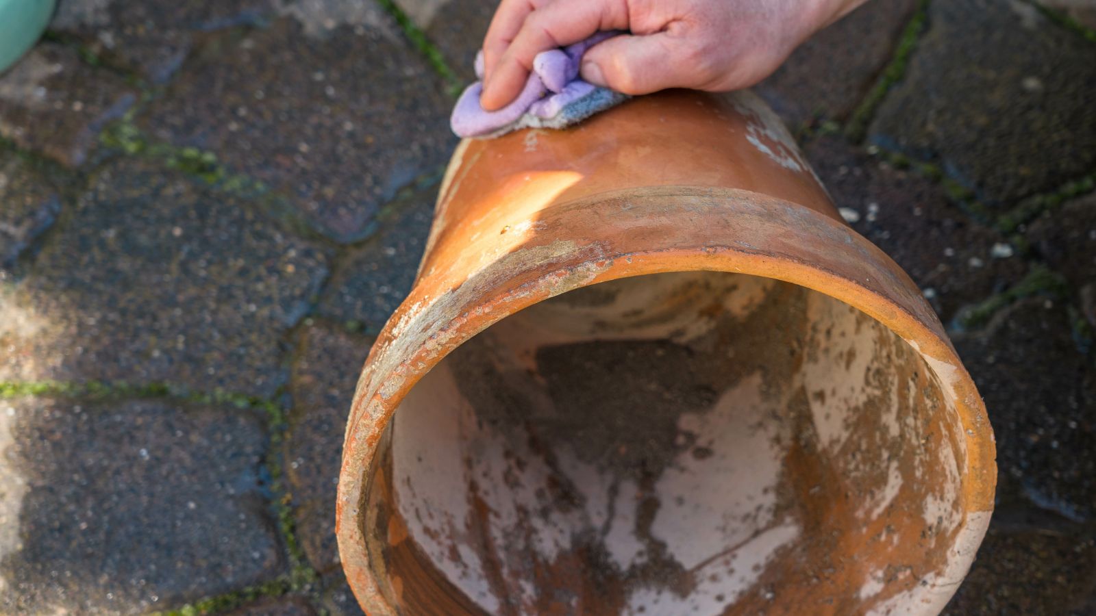 A close-up shot of a person's hand in the process of wiping a planter using rubbing alcohol, all situated in a well lit area outdoors