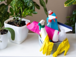 A close-up shot of several cleaning materials placed on a basket alongside houseplants, showcasing how to sanitize planting pots