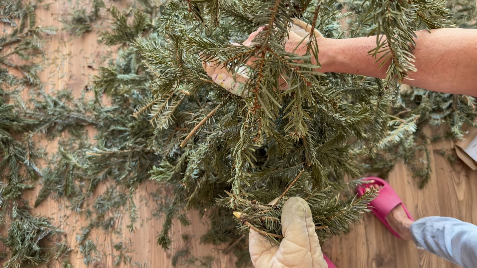 An overhead and close-up shot of a person in the process of cutting up a large plant into smaller pieces, all situated in a well lit area indoors