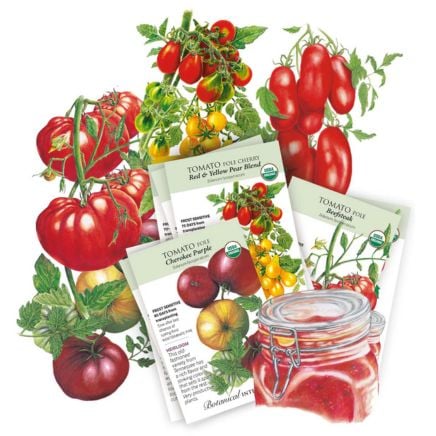 Heirloom Tomato Seed Bundles