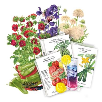 2026 New Varieties Seed Bundle