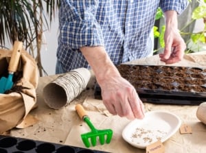 A close-up shot of a person in the process of assembling a black tray with soil and ovules. showcasing seed-starting zones 2-4