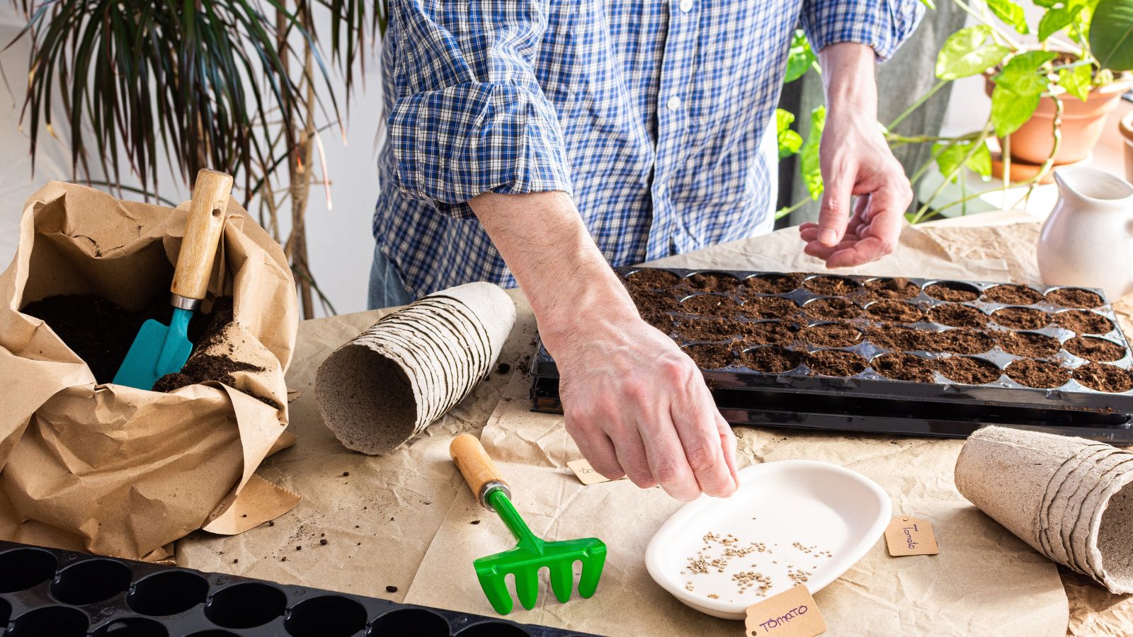 A close-up shot of a person in the process of assembling a black tray with soil and ovules. showcasing seed-starting zones 2-4