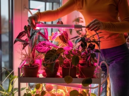 A close-up shot of a person in the process of installing and arranging luminating rods, showcasing the best grow lights vegetable seedlings
