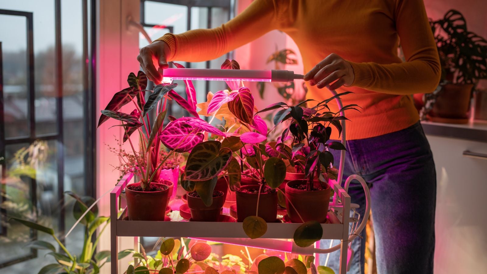 A close-up shot of a person in the process of installing and arranging luminating rods, showcasing the best grow lights vegetable seedlings