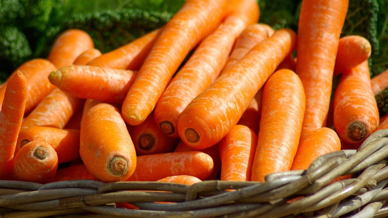 A close-up shot of a pile of vibrant orange colored taproots on a woven wicker basket, in a well lit area
