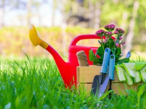 A close-up shot of a small composition of gardening tools and equipment, placed on a grassy area, showcasing february garden checklist